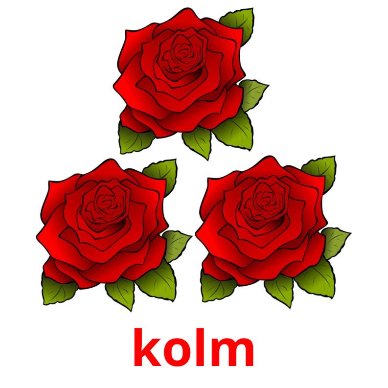 kolm picture flashcards