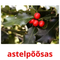 astelpõõsas picture flashcards