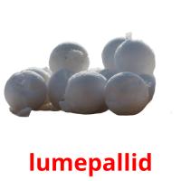 lumepallid card for translate