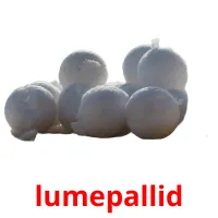 lumepallid picture flashcards