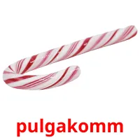 pulgakomm picture flashcards