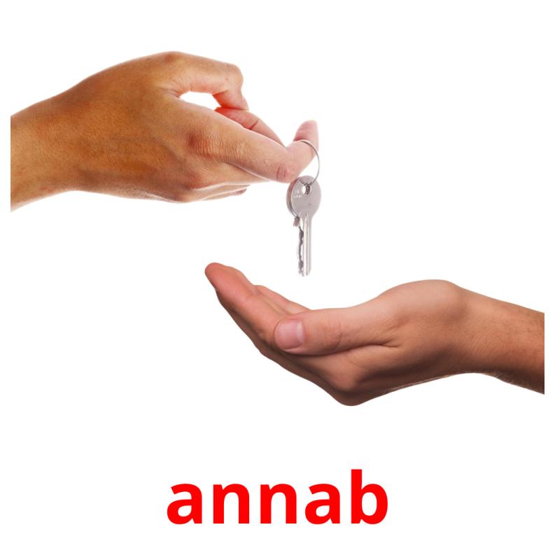 annab picture flashcards