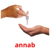 annab flashcards illustrate