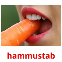 hammustab flashcards illustrate