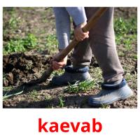 kaevab card for translate