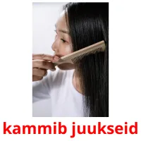 kammib juukseid flashcards illustrate