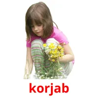 korjab flashcards illustrate