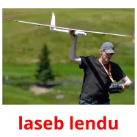 laseb lendu flashcards illustrate