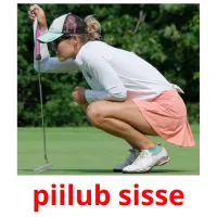 piilub sisse flashcards illustrate