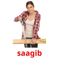 saagib flashcards illustrate