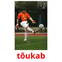 tõukab flashcards illustrate