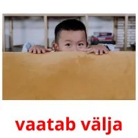 vaatab välja flashcards illustrate