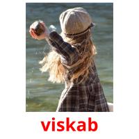 viskab card for translate