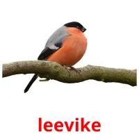 leevike ansichtkaarten