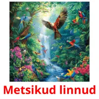 Metsikud linnud ansichtkaarten