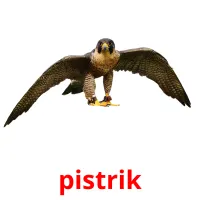 pistrik ansichtkaarten