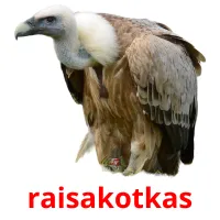 raisakotkas ansichtkaarten