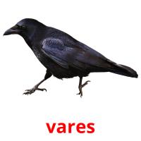 vares picture flashcards