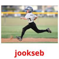 jookseb picture flashcards