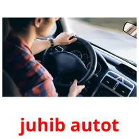 juhib autot Bildkarteikarten