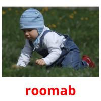 roomab picture flashcards