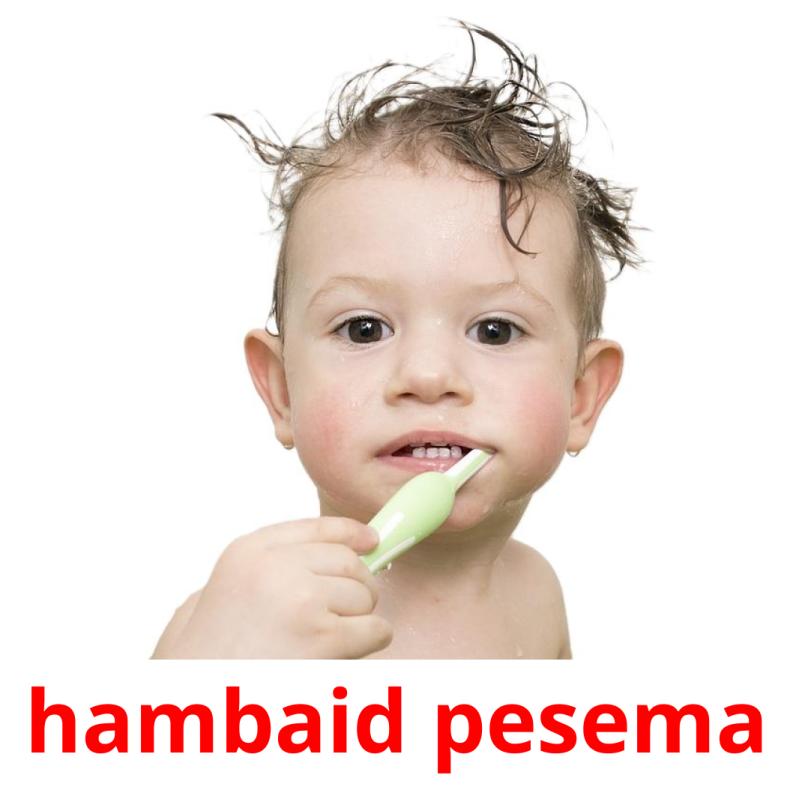 hambaid pesema flashcards illustrate
