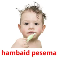 hambaid pesema ansichtkaarten