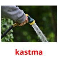 kastma picture flashcards
