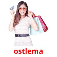 ostlema picture flashcards