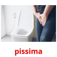 pissima ansichtkaarten