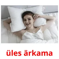 üles ärkama ansichtkaarten