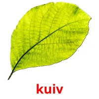 kuiv ansichtkaarten