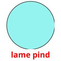 lame pind picture flashcards