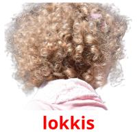 lokkis picture flashcards