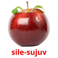 sile-sujuv ansichtkaarten