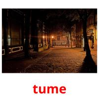 tume card for translate