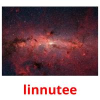linnutee picture flashcards
