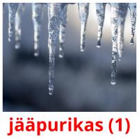 jääpurikas (1) card for translate