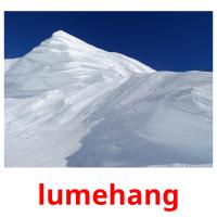 lumehang picture flashcards