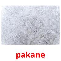 pakane picture flashcards