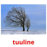 tuuline picture flashcards