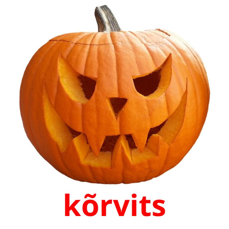 kõrvits picture flashcards