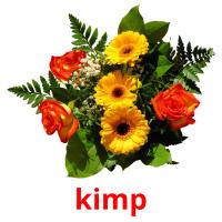 kimp cartões com imagens