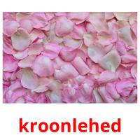 kroonlehed flashcards illustrate