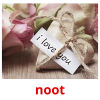 noot picture flashcards