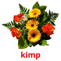 kimp bildkort för barn