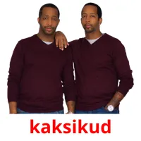 kaksikud picture flashcards