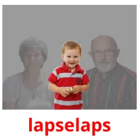 lapselaps picture flashcards