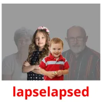 lapselapsed picture flashcards