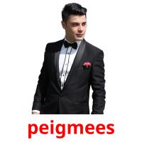 peigmees picture flashcards